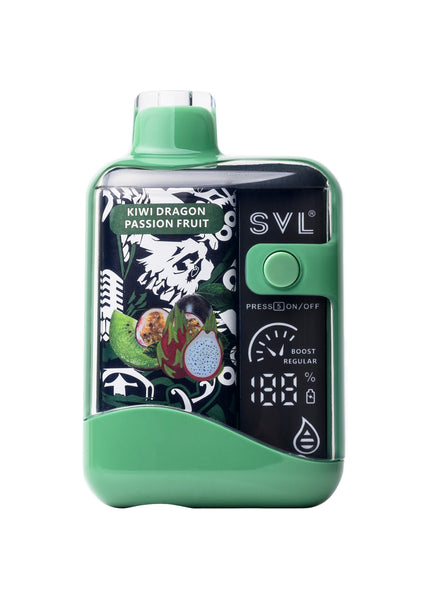 svl-bx12000-kiwi-dragon-
